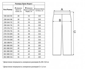 Брюки Век Форест